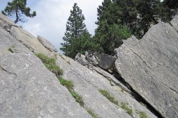 Bergklub: Spitzi Flue  (1658 m.ü.M.)