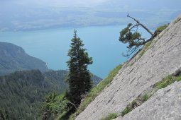 Bergklub: Spitzi Flue  (1658 m.ü.M.)