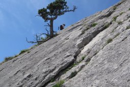 Bergklub: Spitzi Flue  (1658 m.ü.M.)
